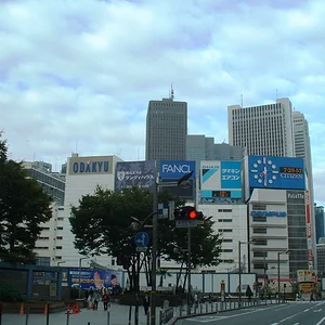 Tokyo - Shinjuku st.