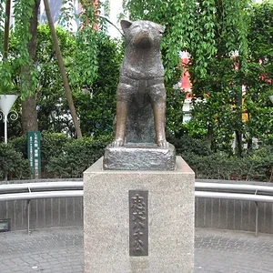 Hachiko