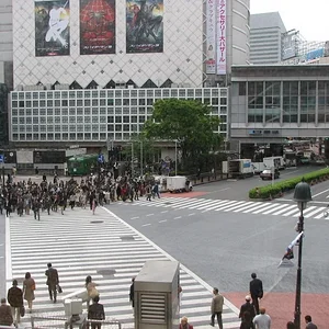 Shibuya Crossing