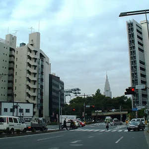 Tokyo - Shinjuku st.