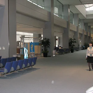 Narita Airport Terminal