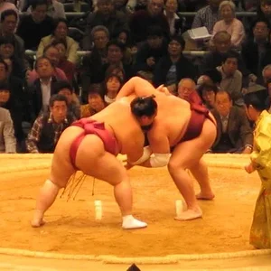 fighto.jpg