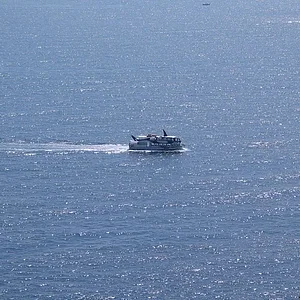 whaleferry.jpg