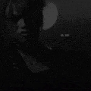 img20050402191646.gif