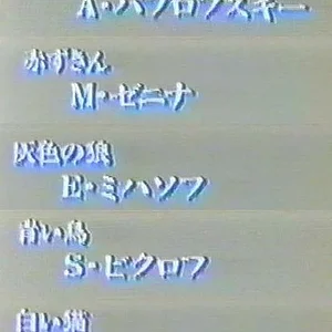 translate4.jpg