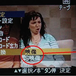 Sharp Camcorder.JPG