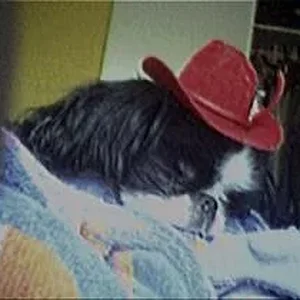 SMALL cowboy sleeping.jpg