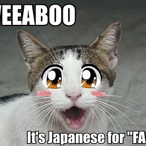 weeaboo_its_japanese_for_fail_trollcat.jpg