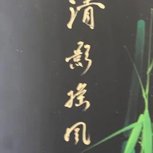backpanel1.jpg
