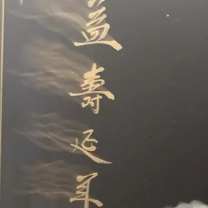backpanel2.jpg