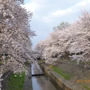P1030033.jpg