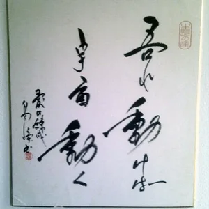 IMAG0694.jpg