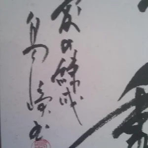 IMAG0698.jpg