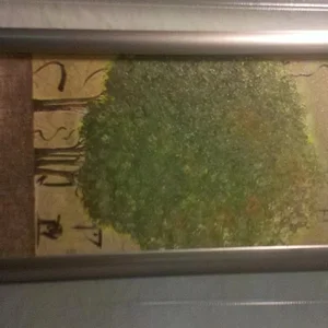 2012-05-14_13-36-38_475.jpg