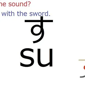 su.jpg