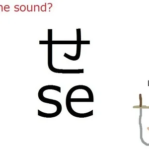 se.jpg