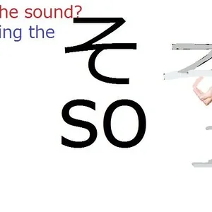 so.jpg