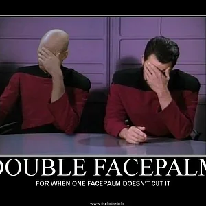DoubleFacePalm2.jpg