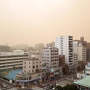 yellow_sand.jpg