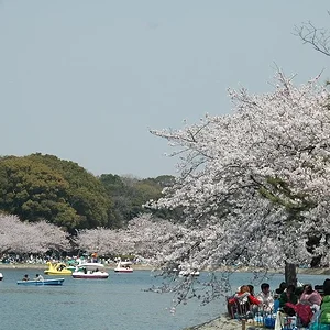 20080406-sinitirou.jpg