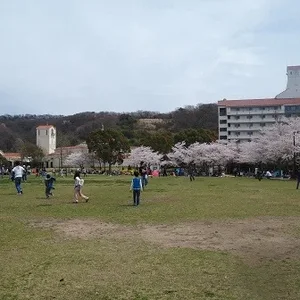 P4155489.jpg