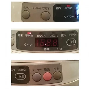Rice-2.jpg