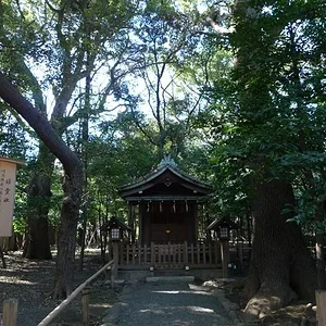 20090217-02134.jpg