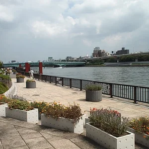 park.JPG