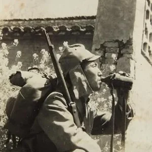 Type 1 b.jpg