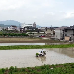 20140608_121529.jpg