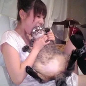 ImageUploadedByTapatalk1429483771.695539.jpg