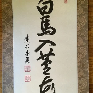photo 2.jpg