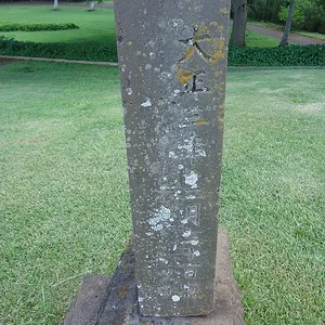 sDSC00773.jpg