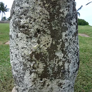 sDSC00823.jpg