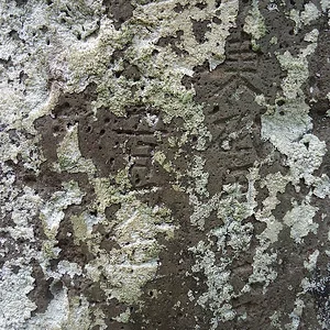 sDSC00824.jpg