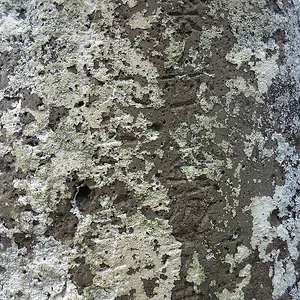 sDSC00825.jpg