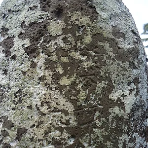 sDSC00826.jpg