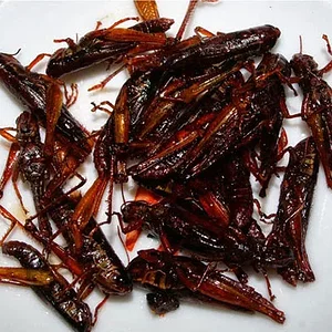 inago-no-tsukudani.jpg