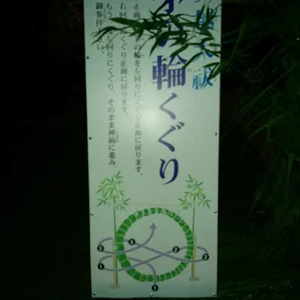 IMG_20160629_212510.jpg
