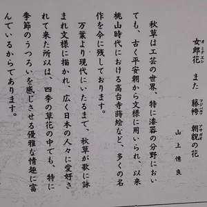 japanese1.PNG