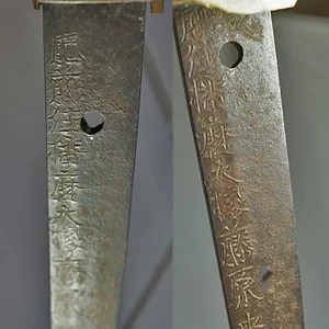 tang1.jpg