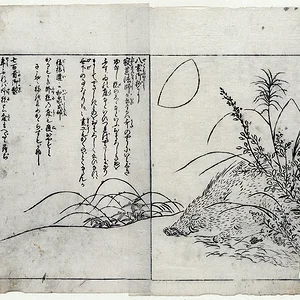 translate3.jpg