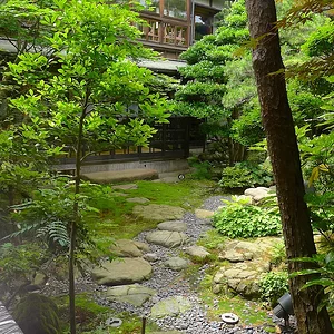 P1000987.JPG