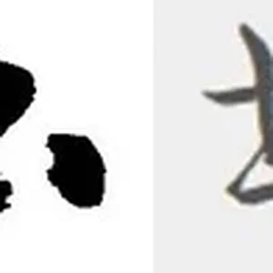 sho.jpg