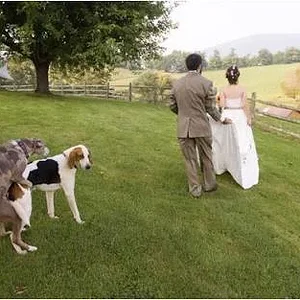 IMG_1327.JPG
