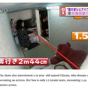 4564565.png