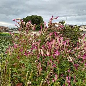 IMG_20180927_112058760_HDR.jpg