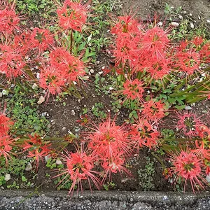 IMG_20180927_112154158.jpg