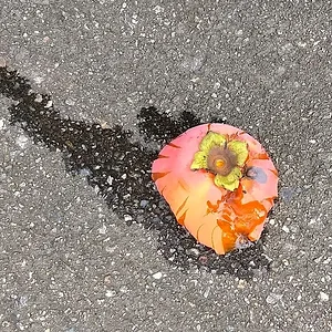 persimmon.jpg