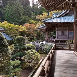 IMG_20181103_103331063_HDR.jpg